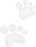 dabal-foot