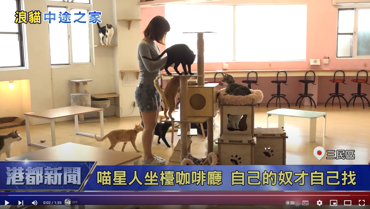 領養代替購買 | 喵星人坐檯咖啡廳 自己的奴才自己找