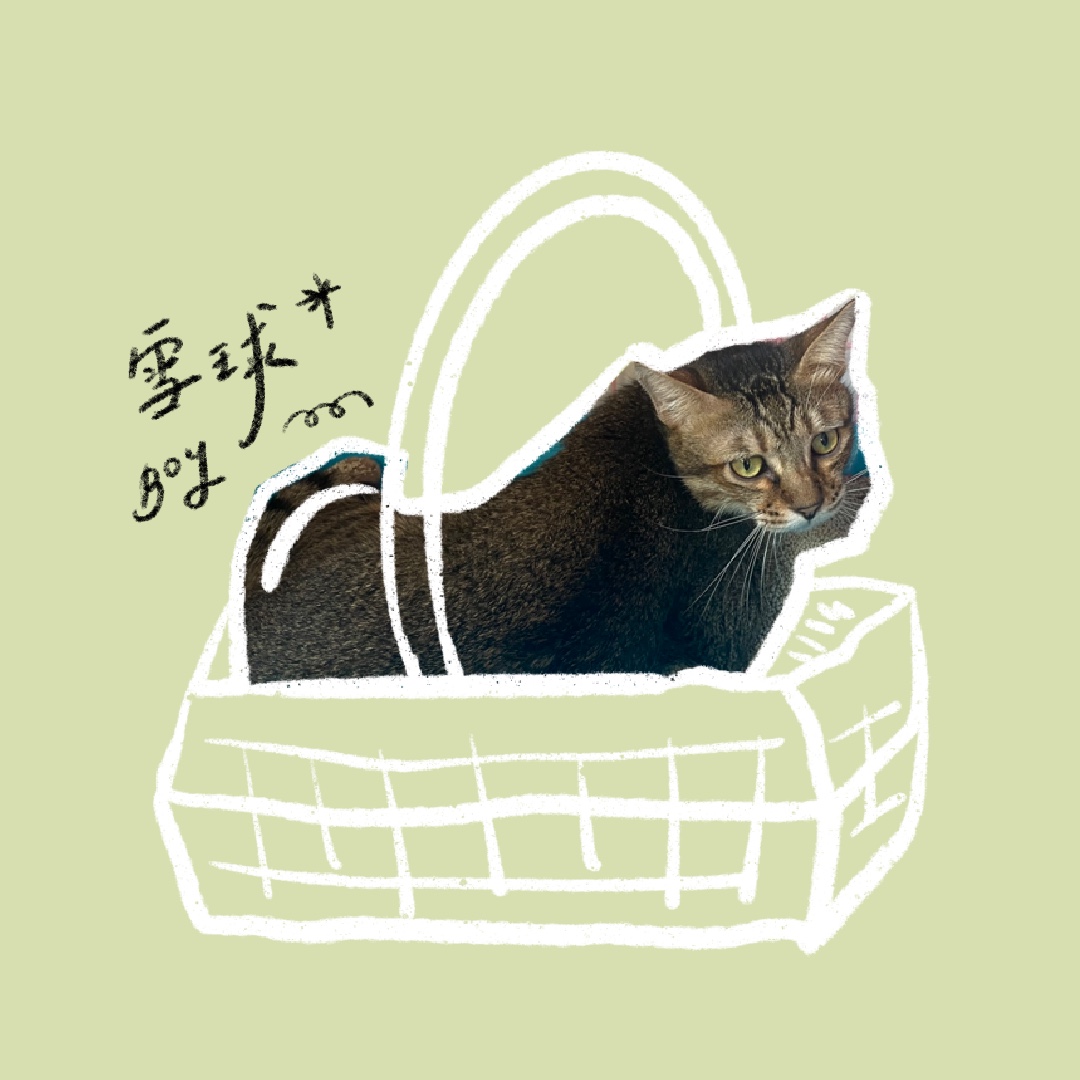 雪球