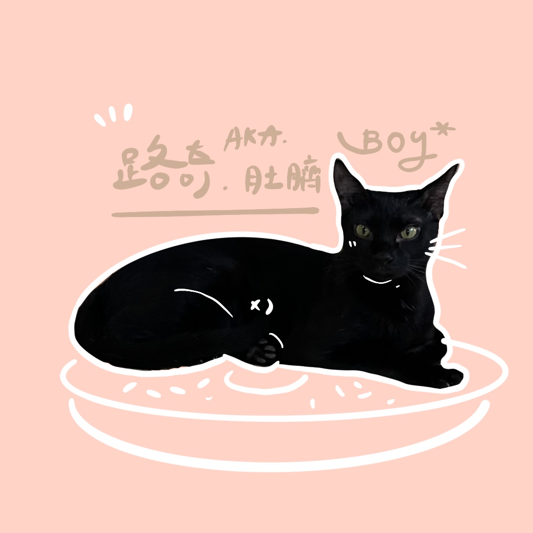 羅布‧路奇