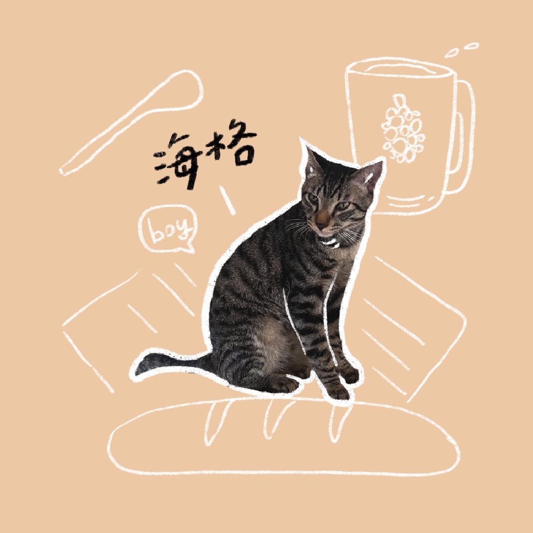 海格