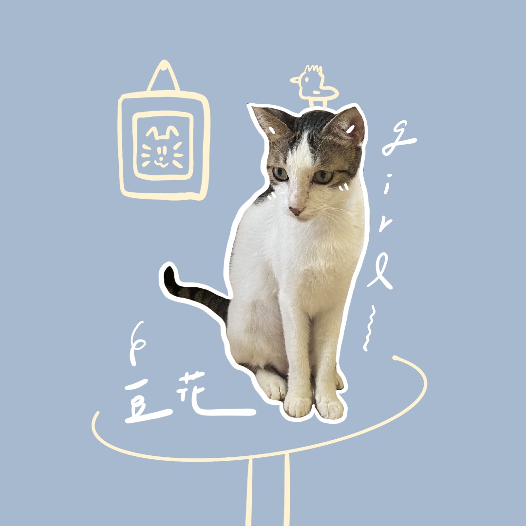 豆花